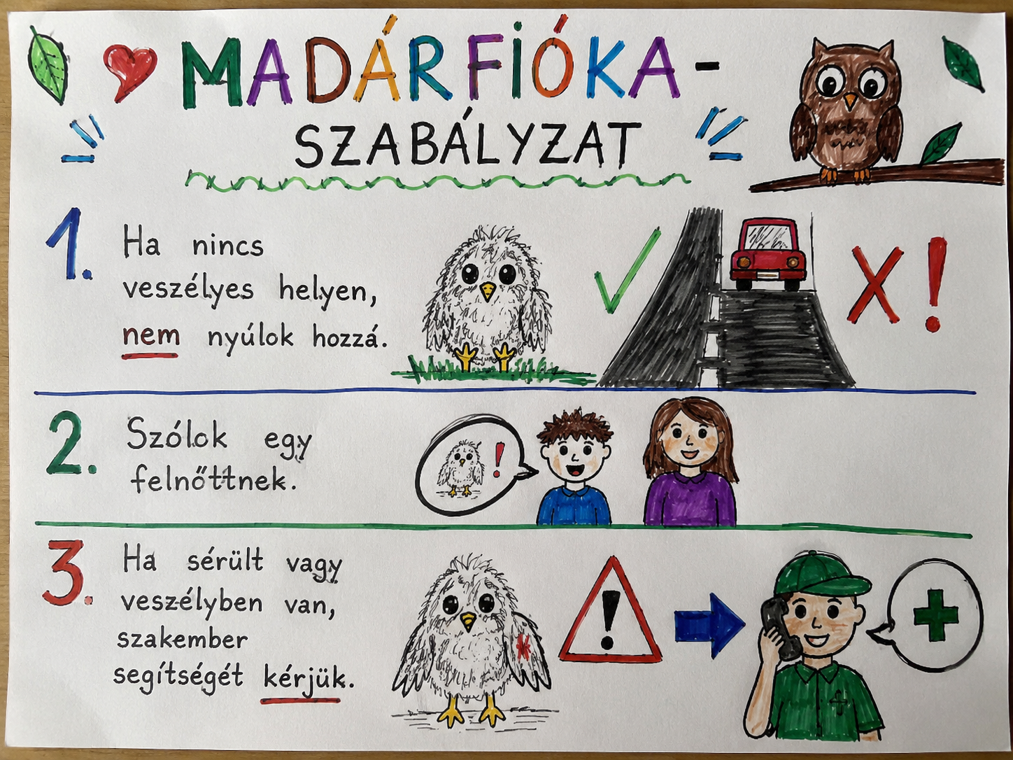 Madrfika-szablyzat